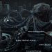 Цифровая крепость: Как устроен маркетплейс Kraken и чем он привлекает пользователей